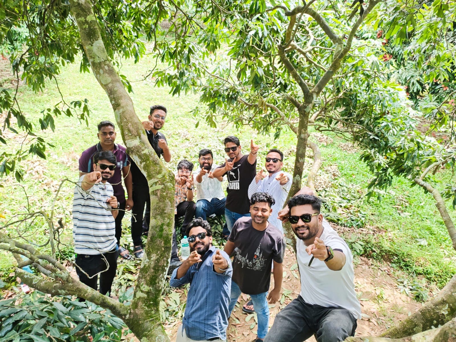 Lychee orchard with the boys 🍈